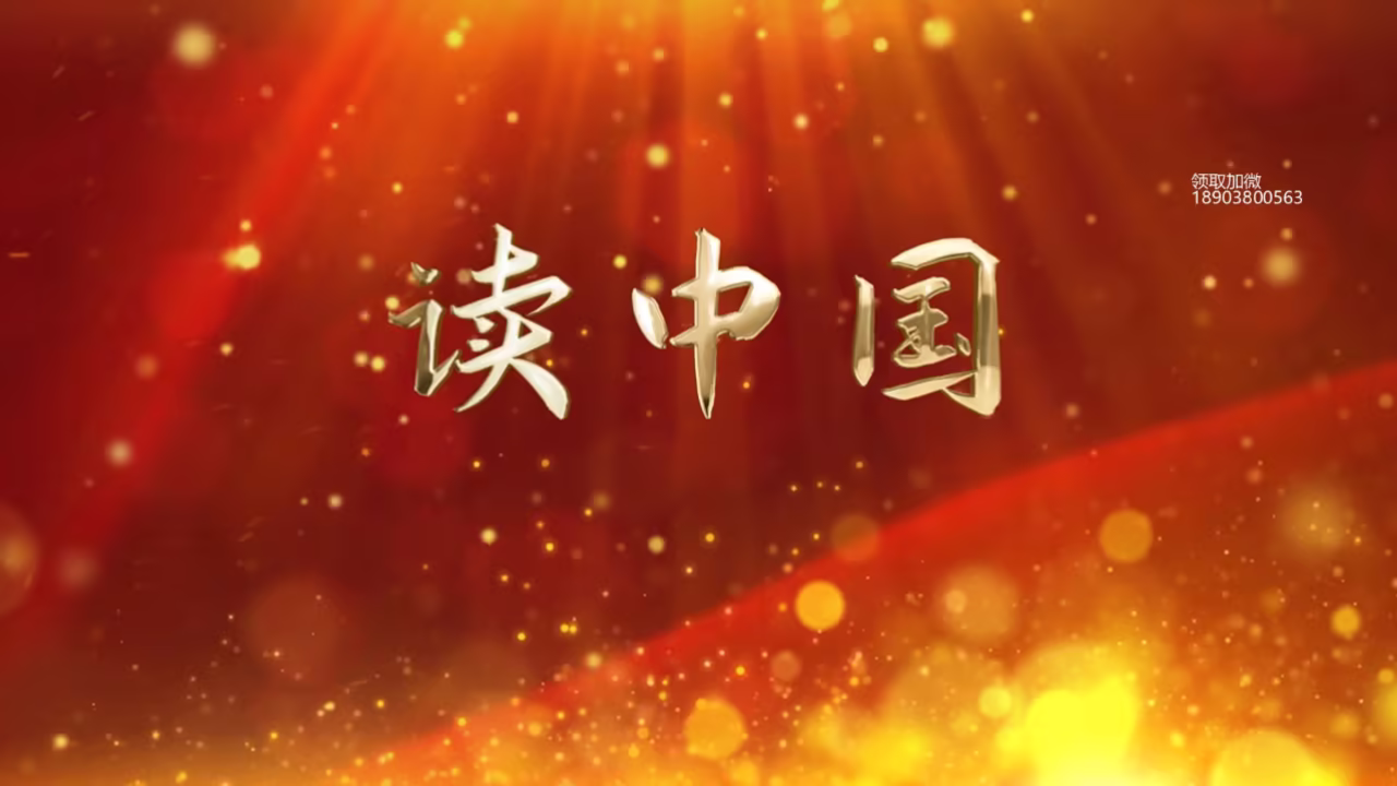 绝对丽奴 快播剧照2