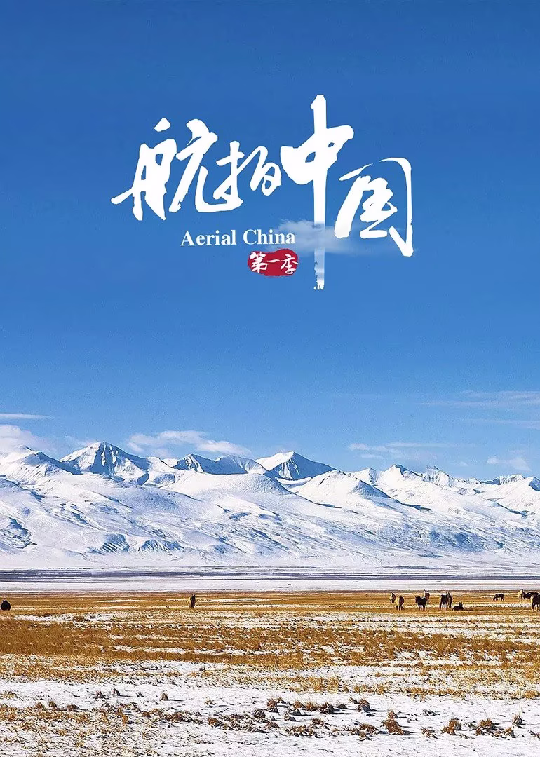 媚娘直播剧照3
